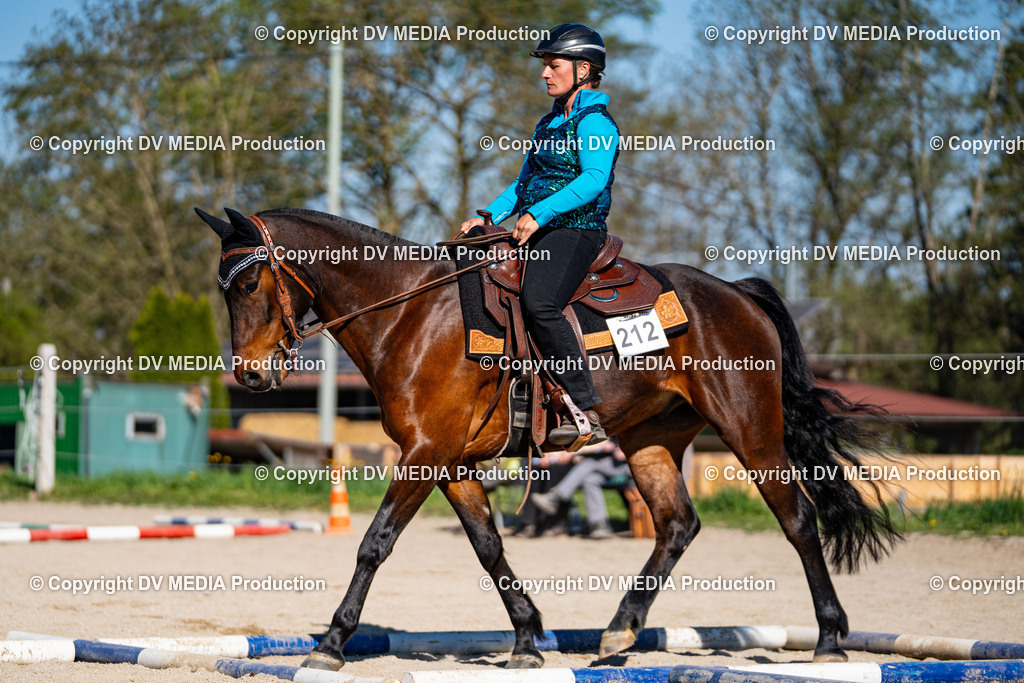 Balingen Tag 1-809 | dv-media-shop - Realisiert mit Pictrs.com