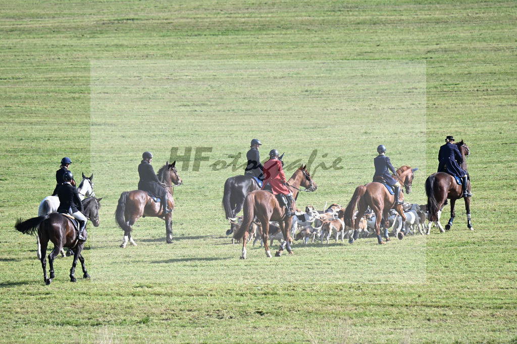 40250119 | hf-fotografie - Realisiert mit Pictrs.com