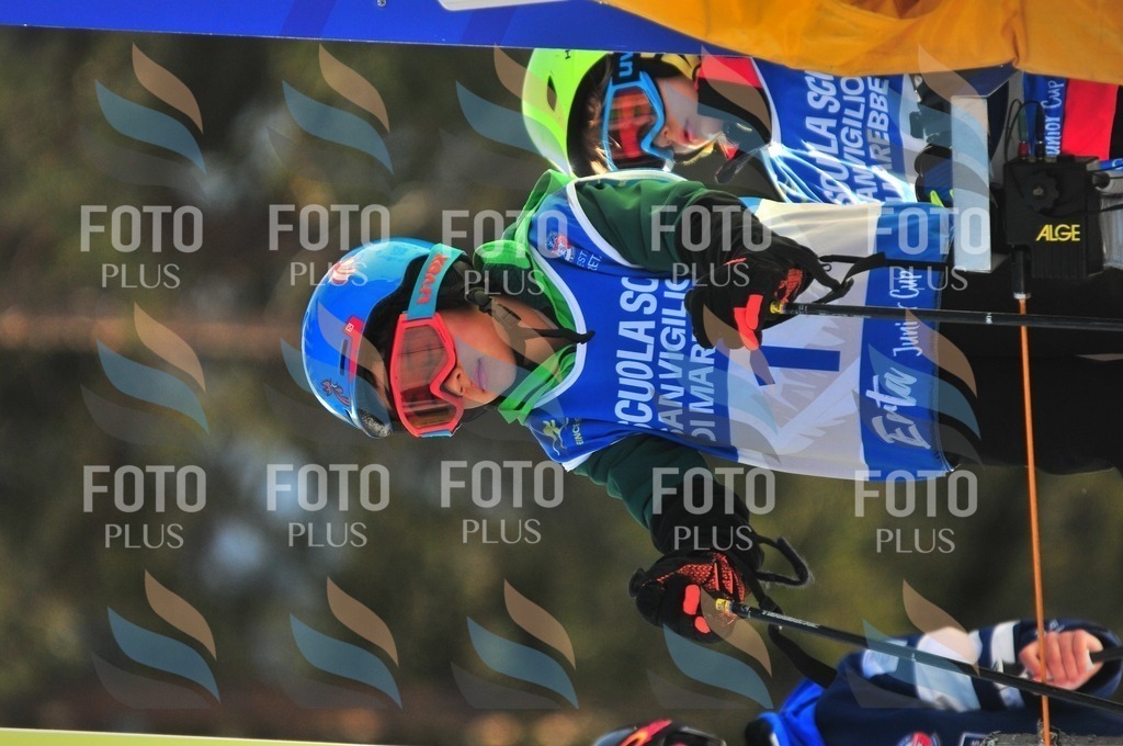 B9572 | holidayphoto