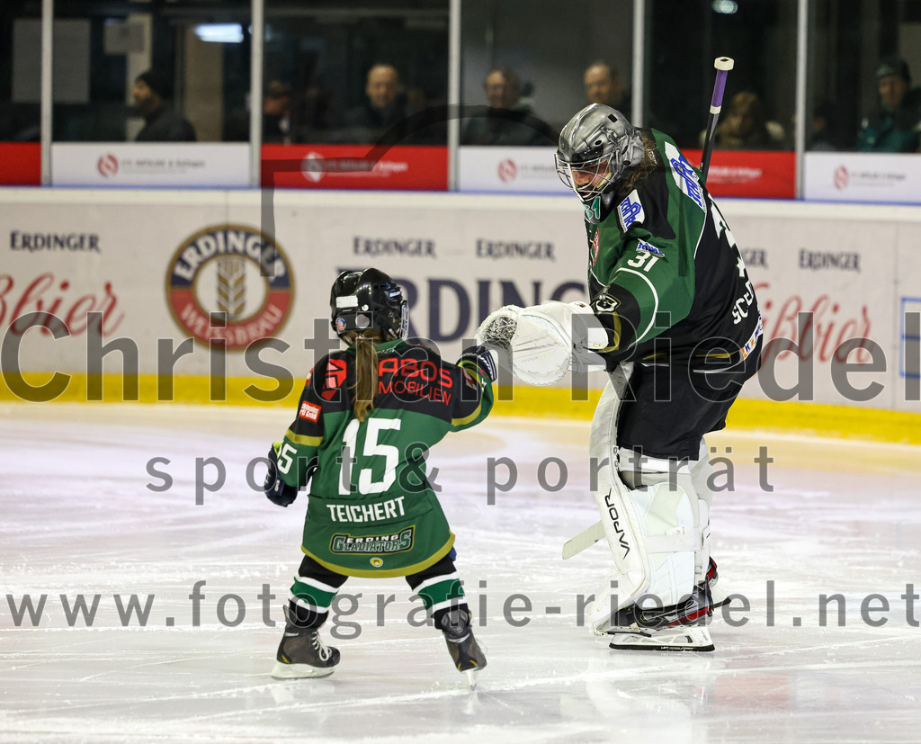 2023-03-03_013_TSV_Erding_gegen_ESC_Kempten | Erding, Deutschland, 03.03.2023:
Eishockey, Bayernliga Playoffs 2022 / 2023, Viertelfinale, TSV Erding gegen ESC Kempten, Endergebnis: 9:3

Torwart Christoph Schedlbauer (Erding Gladiators, #31)

Foto: Christian Riedel / fotografie-riedel.net