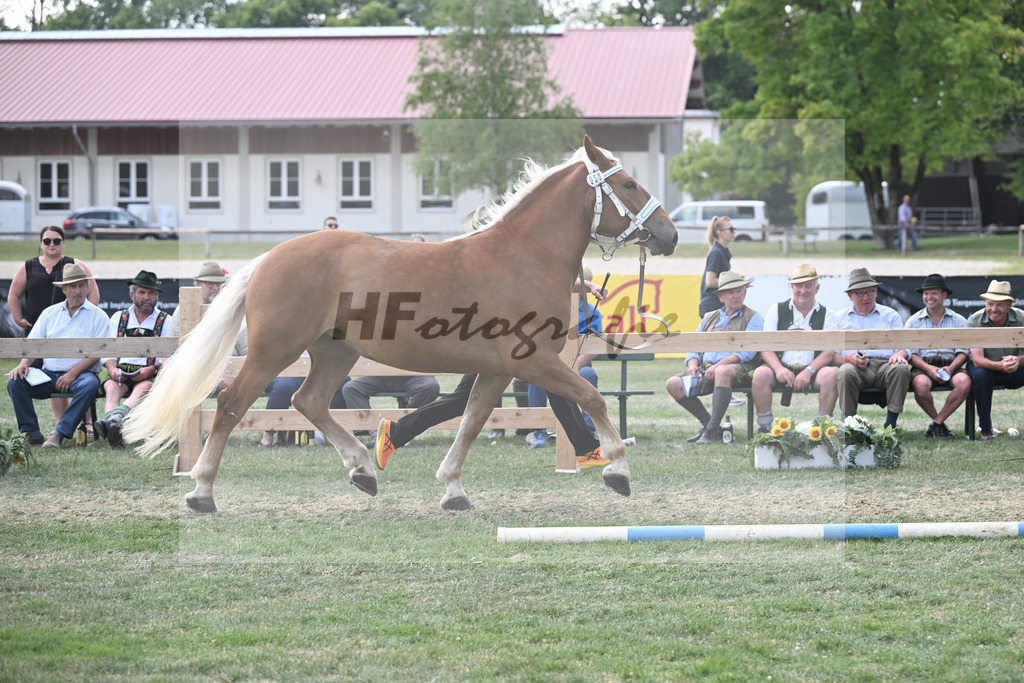 Kat-Nr. 58 Kenia_Schroeder_20230947 | hf-fotografie - Realisiert mit Pictrs.com
