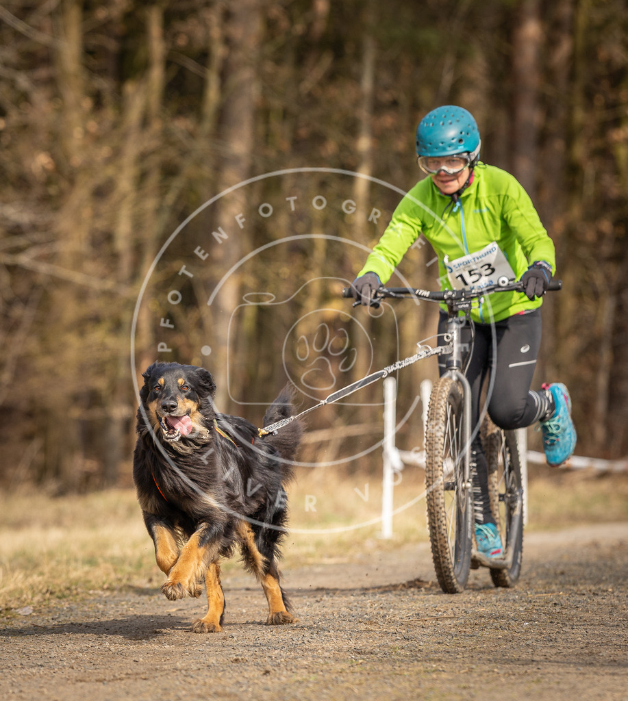 DV3A4840 | Hundefotografie, Tierfotograf, Pfotenfotografie, Fotoshooting Hund, Hunde Portrait, Hundesport, Hundeportraits, Heideshooting, Hunde, Sportfotograf, Hundefotograf, Turnierhundsport, THS,  - Realisiert mit Pictrs.com