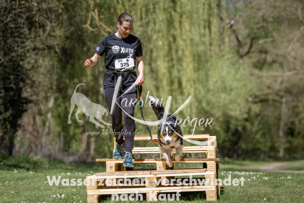 1254_ZZ94936 | kk-dogfotos