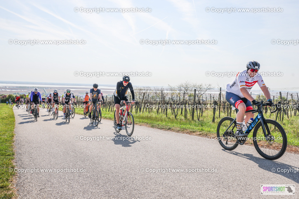 007A0593 | Neusiedlersee Radmarathon #neusiedlerseeradmarathon #neusiedlersee #nrm26 #yourpictrs #sportshot_your_pictrs