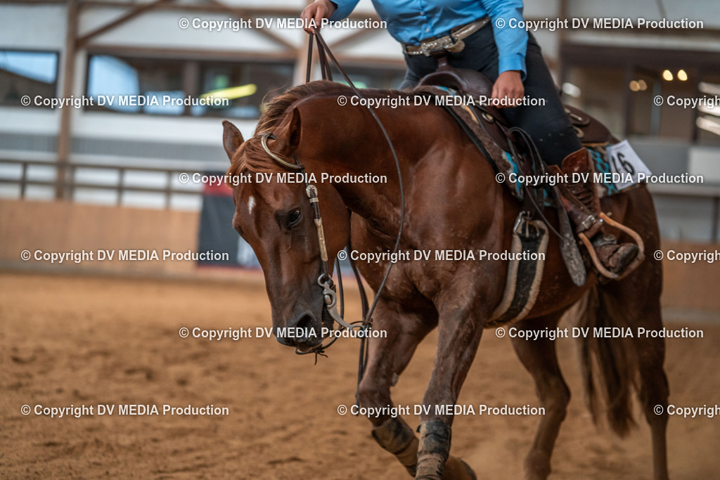 Neckargemünd Tag 3-792 | dv-media-shop - Realisiert mit Pictrs.com