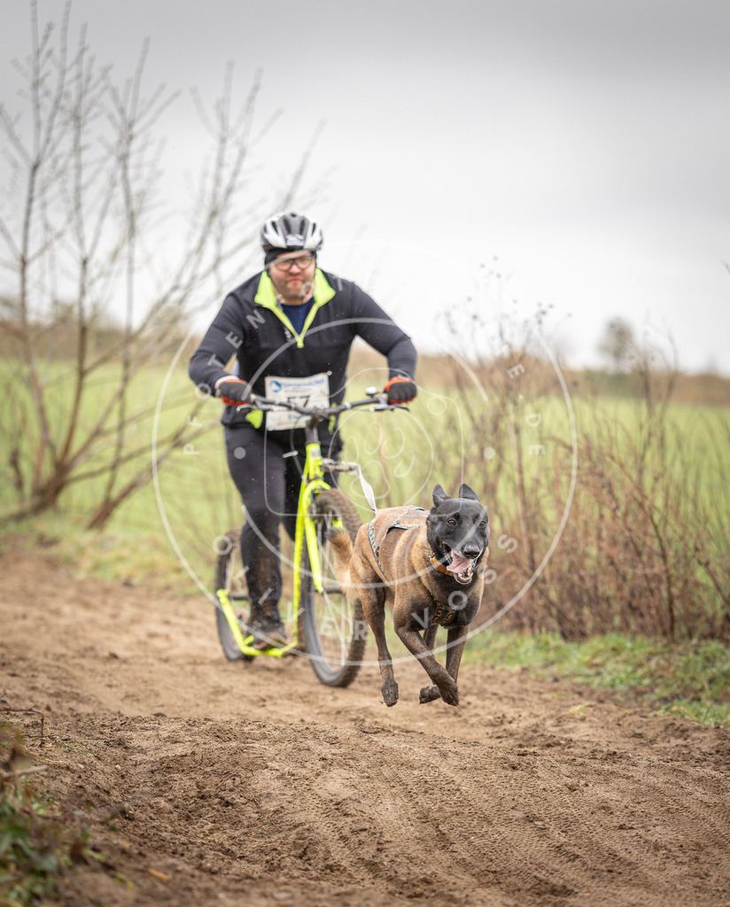 DV3A9303 | Hundefotografie, Tierfotograf, Pfotenfotografie, Fotoshooting Hund, Hunde Portrait, Hundesport, Hundeportraits, Heideshooting, Hunde, Sportfotograf, Hundefotograf, Turnierhundsport, THS,  - Realisiert mit Pictrs.com