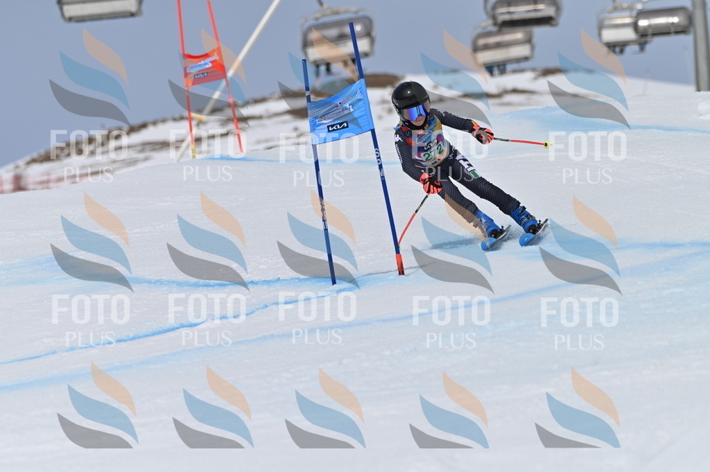 BGV_5379 | holidayphoto