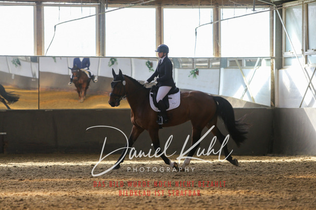 IMG_2386 | Turniersportfotografie; Pferdefotografie; Dressurfotografie