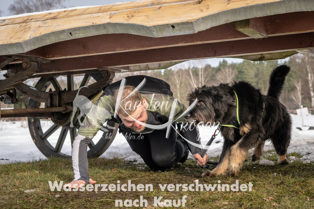 0859_ZZ93428-3 | kk-dogfotos