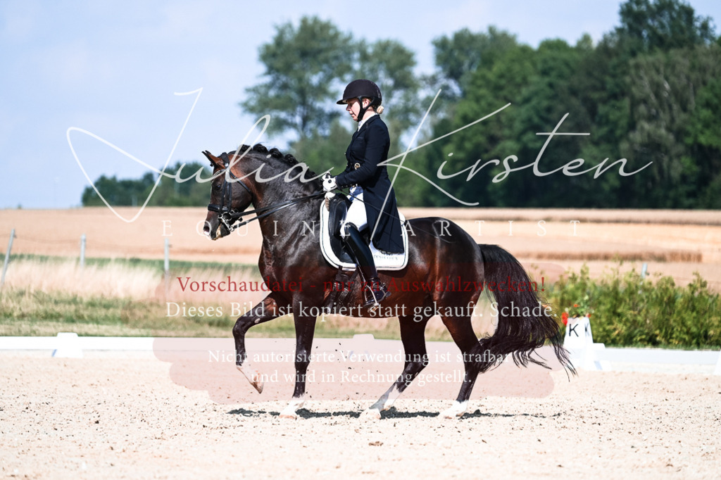 DSC_2966 | Pferde- und Turnierfotografie in Westsachsen. Pferdeportraits, Auftragszeichnungen und intuitive Kunst.