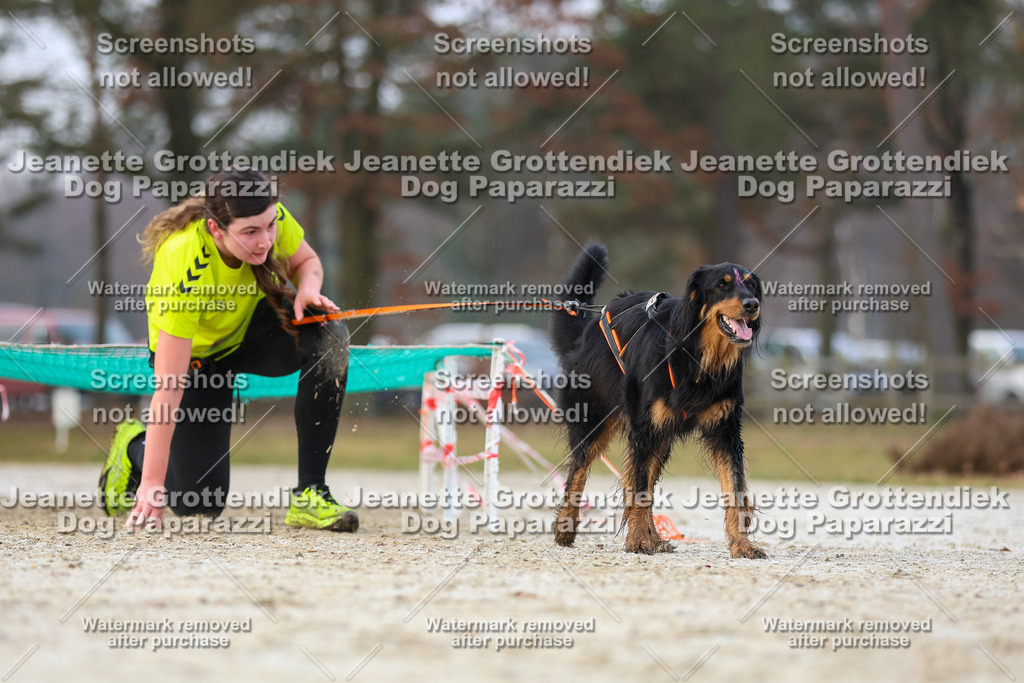 Dog Paparazzi - Strongdog North Mrz26-3737 | Dog Paparazzi Jeanette Grottendiek Fotografie & Videografie - Realisiert mit Pictrs.com