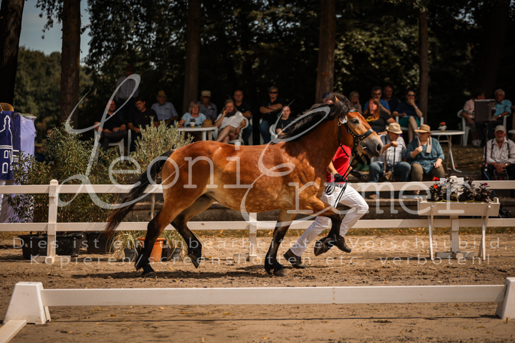 2.Sa00014 | Leoni Ertmer Photography - Realisiert mit Pictrs.com