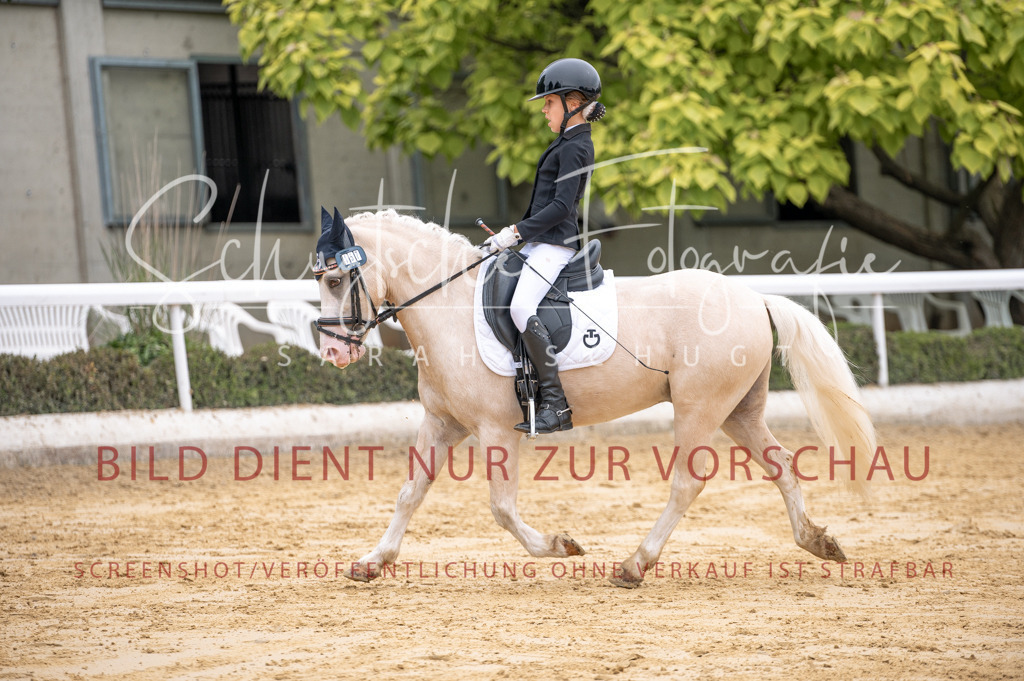 Schugtsche-Aluta25-40.DressurprfA_-452 | Schugtsche Fotografie - Realisiert mit Pictrs.com
