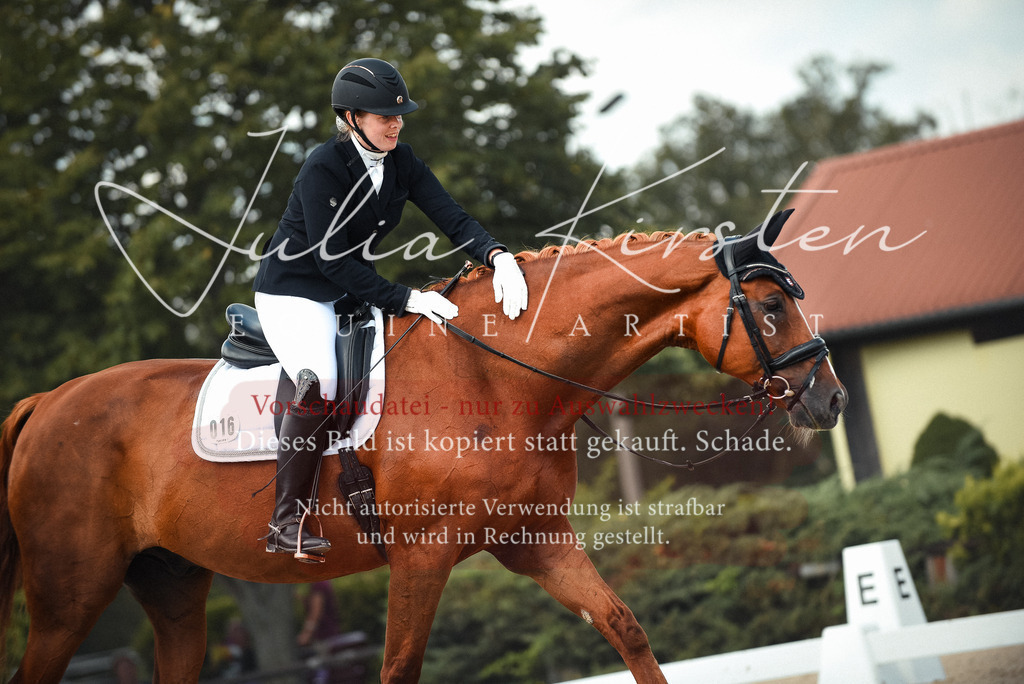 DSC_9137 | Pferde- und Turnierfotografie in Westsachsen. Pferdeportraits, Auftragszeichnungen und intuitive Kunst.