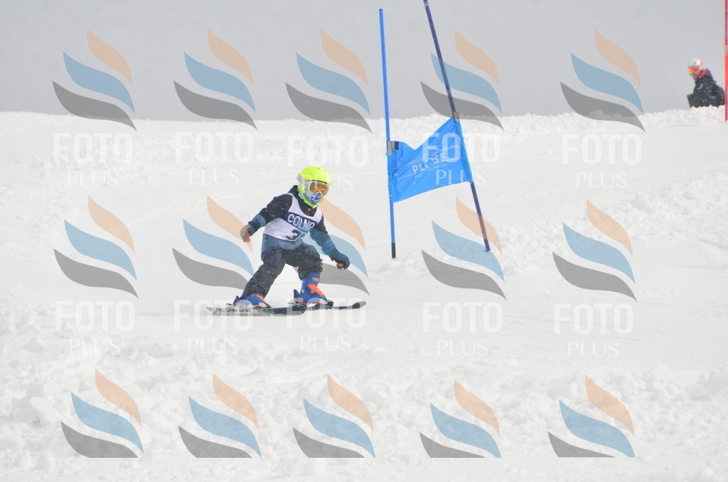 A5242 | holidayphoto