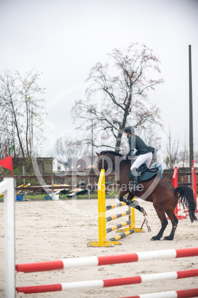 DSC_8380 | sattelsport - Realisiert mit Pictrs.com