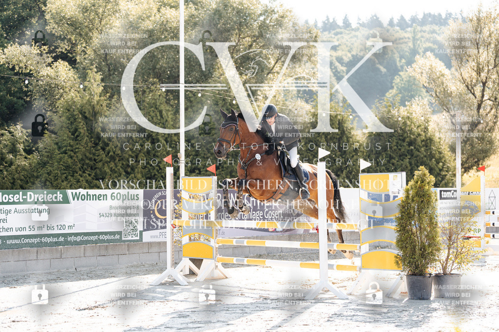 CK907463 | Turnierfotografie Pferdefotografie Trier Rheinland-Pfalz Pferdesport Reitsport Tierfotografie Sportfotografie Pferdevideo Pferdevideografie Equestrianvideography equestrianphotography  - Realisiert mit Pictrs.com