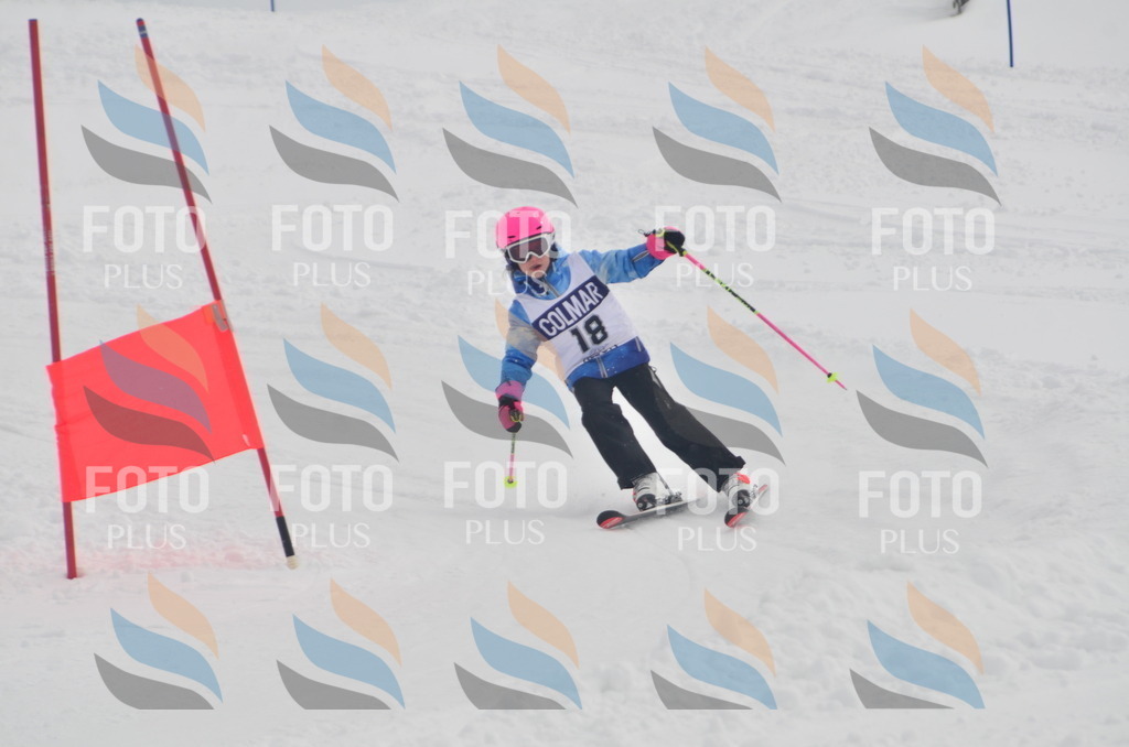 A5133 | holidayphoto