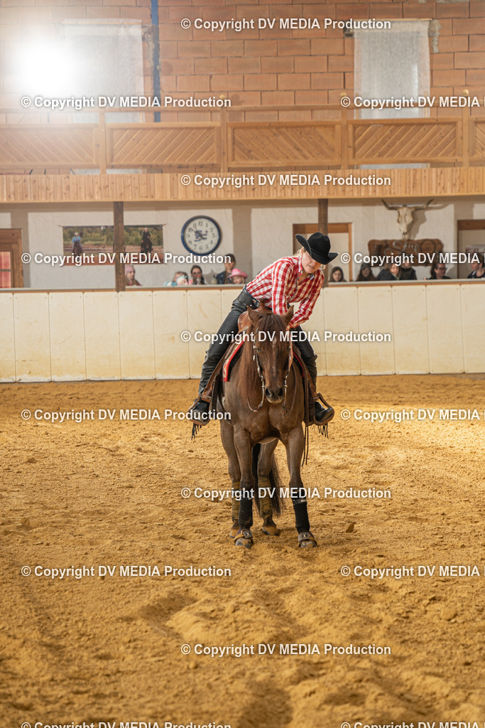 MIT01039 | dv-media-shop - Realisiert mit Pictrs.com