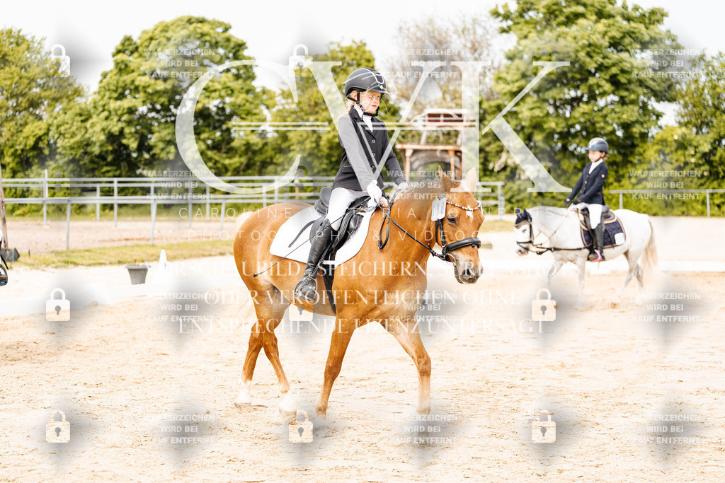 CK904526 | Turnierfotografie Pferdefotografie Trier Rheinland-Pfalz Pferdesport Reitsport Tierfotografie Sportfotografie Pferdevideo Pferdevideografie Equestrianvideography equestrianphotography  - Realisiert mit Pictrs.com