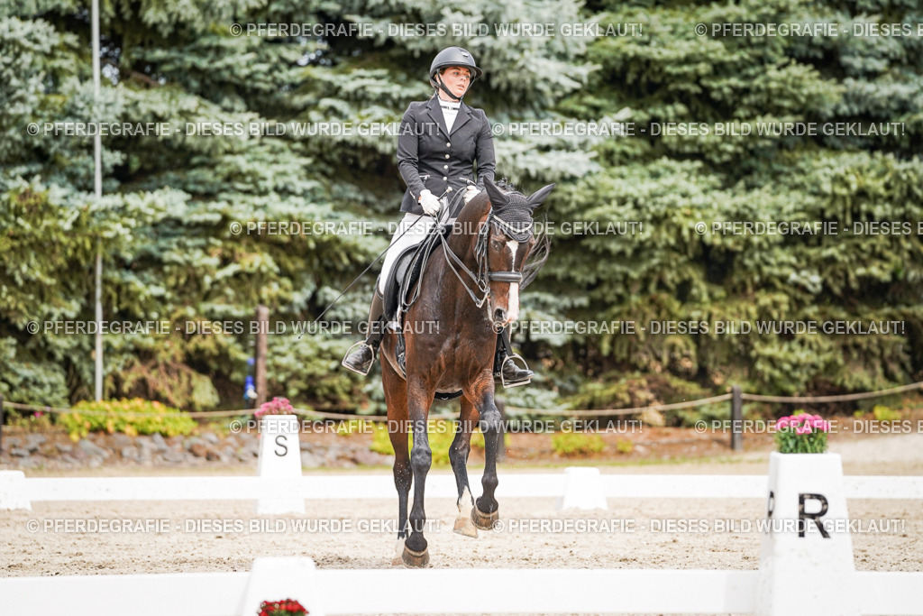 DSC05727 | Pferdegrafie