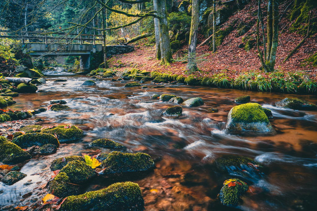 Herbstlicher Hochschwarzwald | Spätherbst im Hochschwarzwald - Realisiert mit Pictrs.com