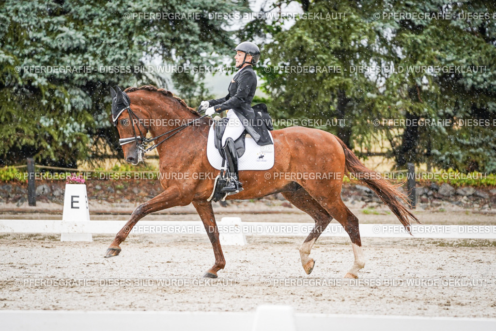 DSC09028 | Pferdegrafie