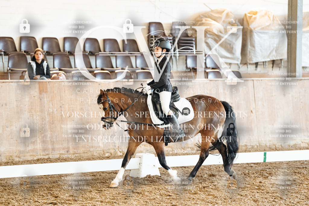 CK900590 | Turnierfotografie Pferdefotografie Trier Rheinland-Pfalz Pferdesport Reitsport Tierfotografie Sportfotografie Pferdevideo Pferdevideografie Equestrianvideography equestrianphotography  - Realisiert mit Pictrs.com