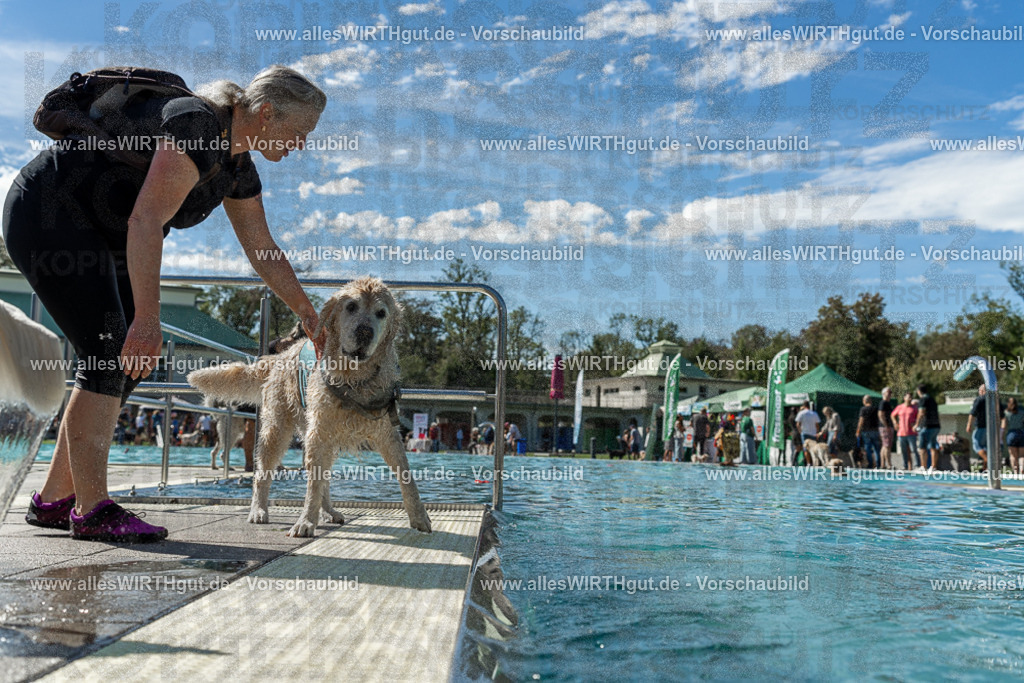 Hundeschwimmen_Volksbad_2026-allesWIRTHgut_Tierfotografie-2609061304-121415-7R500462 | Professionelle Tierfotografie in Mönchengladbach von Daniel Wirth (allesWIRTHgut). Liebevolle & natürliche Bilder von Hunden & Katzen für unvergessliche Erinnerungen.