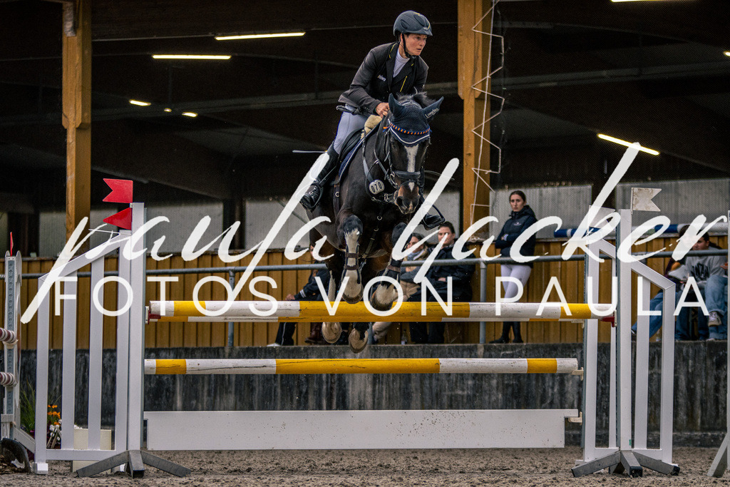 IMG_6238 | Erleben Sie dynamische Sport- und emotionale Tierfotografie in Süddeutschland mit Fotos von Paula. Spezialisiert auf Pferde- und Hundefotografie sowie Sportevents. Kontaktieren Sie mich für einzigartige und ausdrucksstarke Bilder Ihrer besonderen Momente.