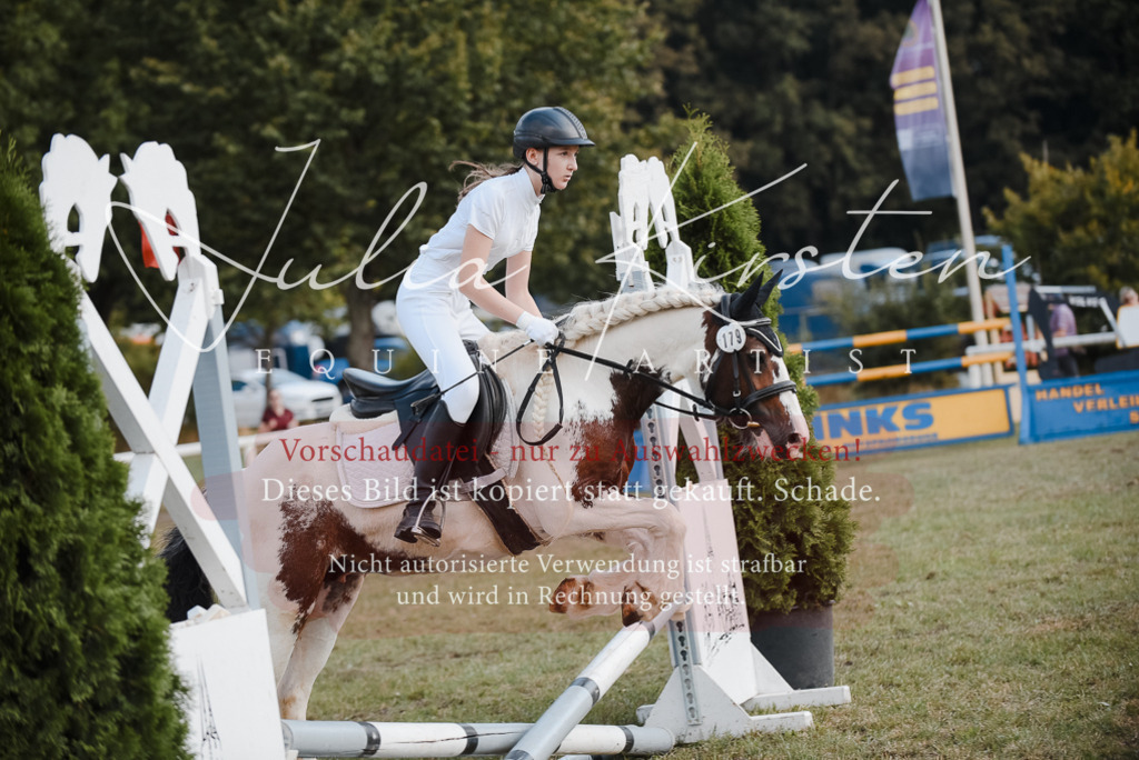 DSC_5363 | Pferde- und Turnierfotografie in Westsachsen. Pferdeportraits, Auftragszeichnungen und intuitive Kunst.