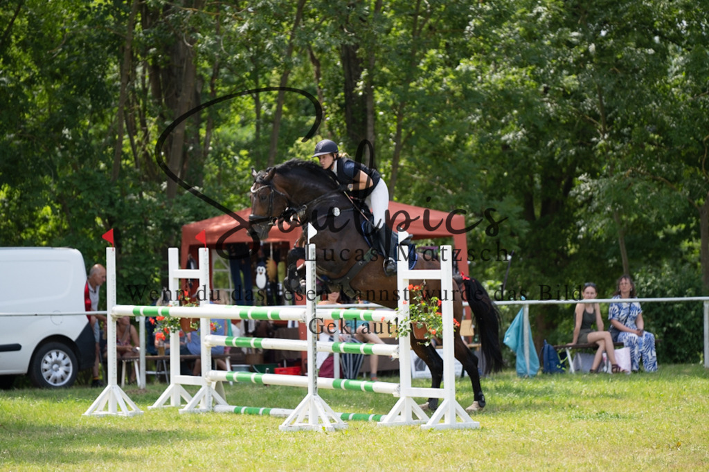 A7V07275 | Pferdefotograf