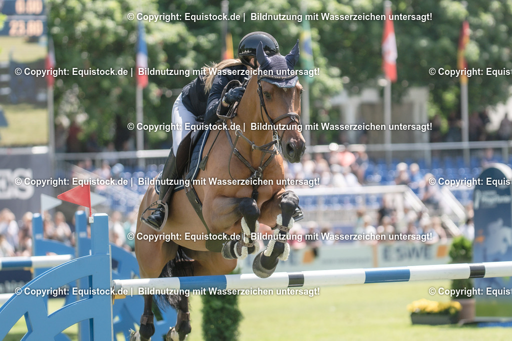 20230527_12_CSI4_Pfungstädter_0057 | equistock