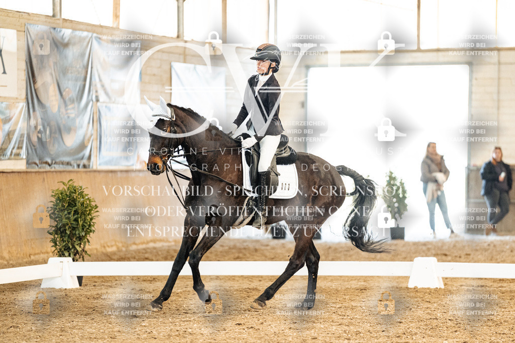 CK900222 | Turnierfotografie Pferdefotografie Trier Rheinland-Pfalz Pferdesport Reitsport Tierfotografie Sportfotografie Pferdevideo Pferdevideografie Equestrianvideography equestrianphotography  - Realisiert mit Pictrs.com