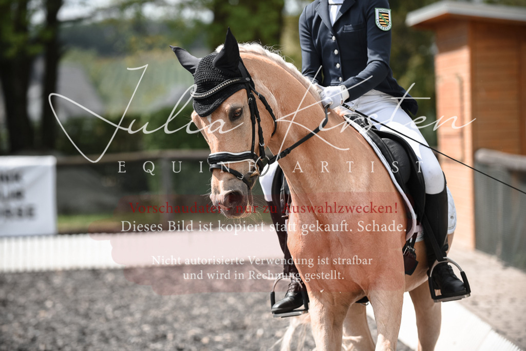 20230513_JK-Röhrsdorf-14-870 | Pferde- und Turnierfotografie in Westsachsen. Pferdeportraits, Auftragszeichnungen und intuitive Kunst.