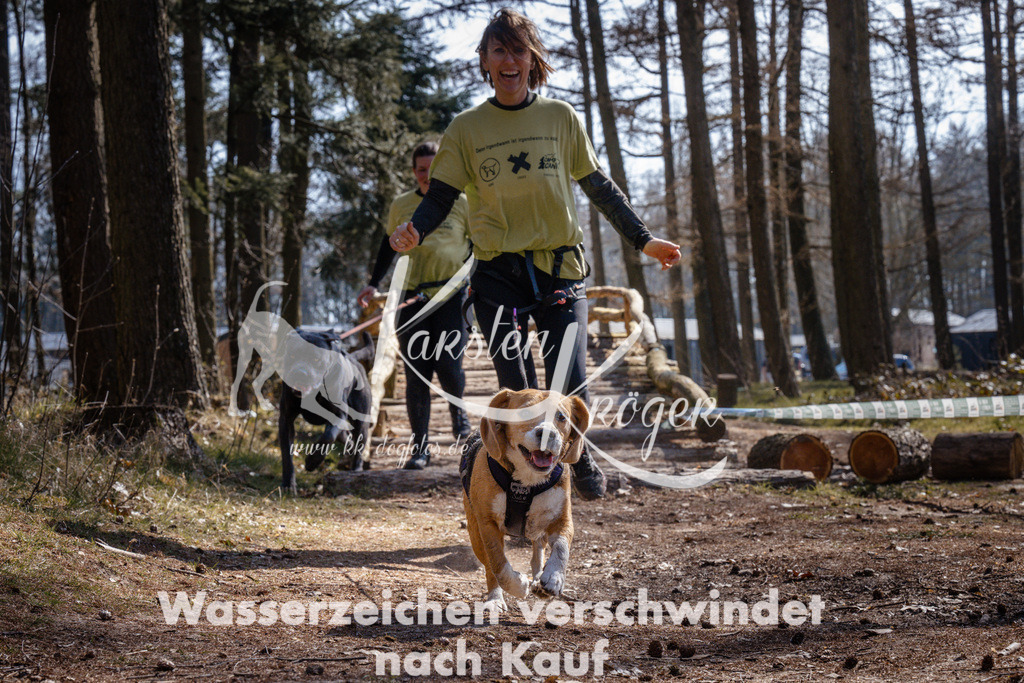 1329_ZZ95227 | kk-dogfotos