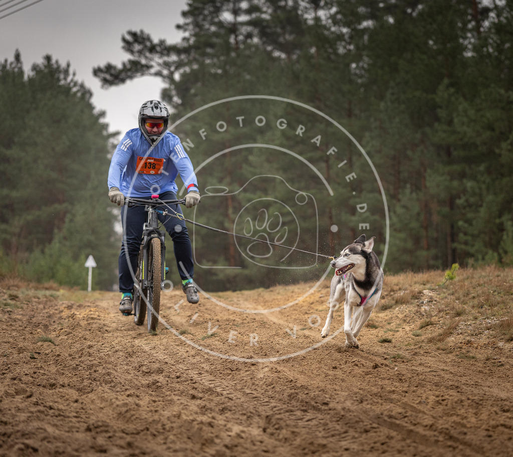 Pfotenfotografie_DV3A3888 | Hundefotografie, Tierfotograf, Pfotenfotografie, Fotoshooting Hund, Hunde Portrait, Hundesport, Hundeportraits, Heideshooting, Hunde, Sportfotograf, Hundefotograf, Turnierhundsport, THS,  - Realisiert mit Pictrs.com