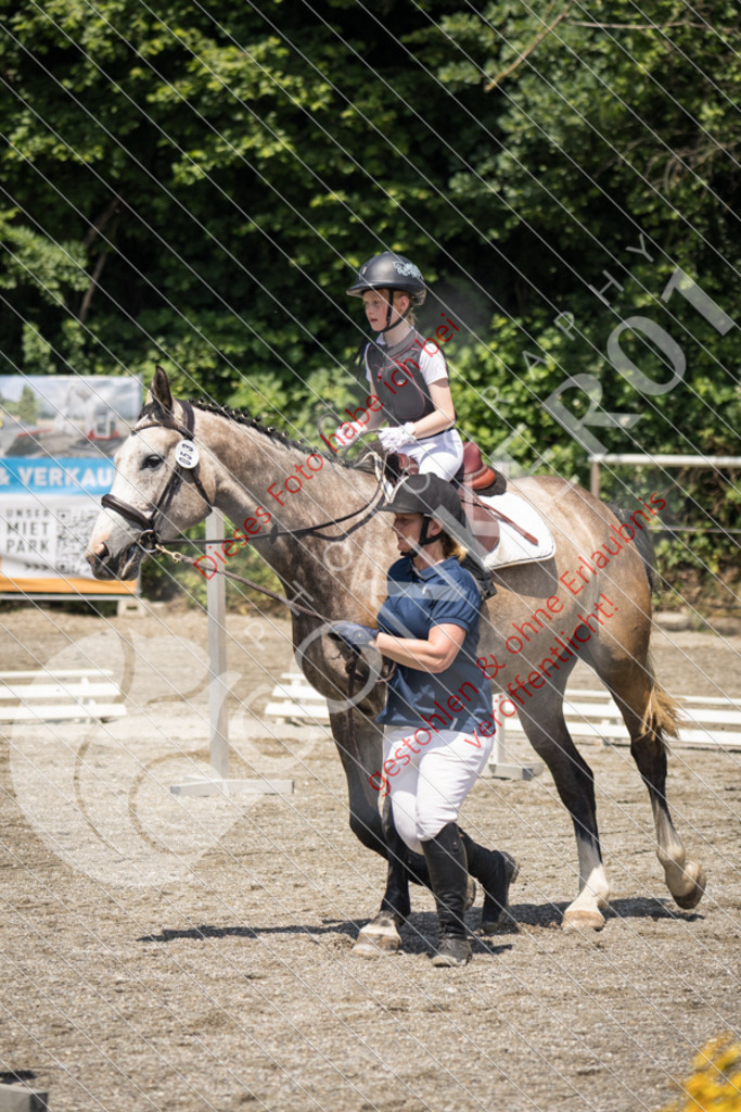 IMG_3483 | Sport-, Event- und Tierfotos in Profiqualität. Einfach auswählen, bestellen und herunterladen. Dein Moment – perfekt festgehalten.