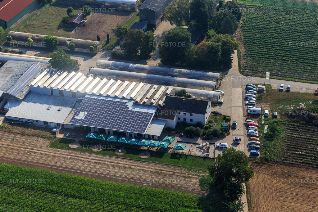 Luftbild: Zapf Hofmarkt und Hofcafé in Kandel im Bundesland Rheinland-Pfalz in Deutschland. Foto: IMG_122226.jpg vom 11.08.2020 durch Werner Riehm/FLY-FOTO.de