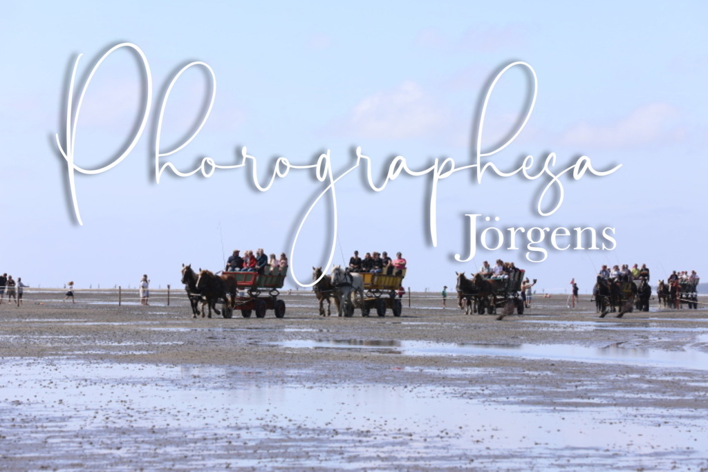 IMG_9529 | photographesa-joergens - Realisiert mit Pictrs.com