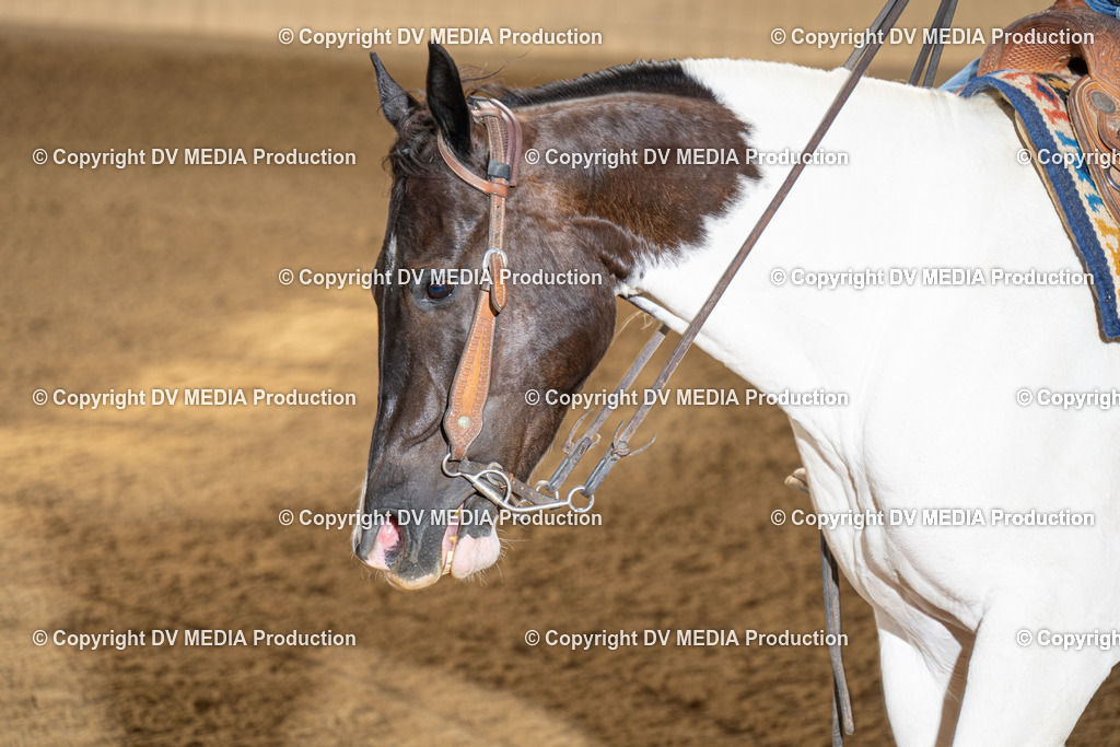 DSC00041 | dv-media-shop - Realisiert mit Pictrs.com