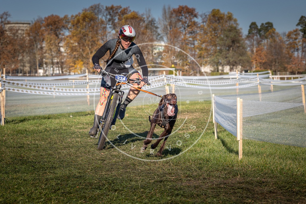 CaniXpix_0L8A4770 | Hundefotografie, Tierfotograf, Pfotenfotografie, Fotoshooting Hund, Hunde Portrait, Hundesport, Hundeportraits, Heideshooting, Hunde, Sportfotograf, Hundefotograf, Turnierhundsport, THS,  - Realisiert mit Pictrs.com