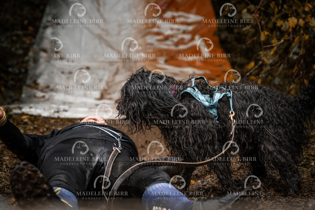 madeleinebirr-fotografie2025.campcanis.sa.10-11Uhr-192 | hundefotografie-birr