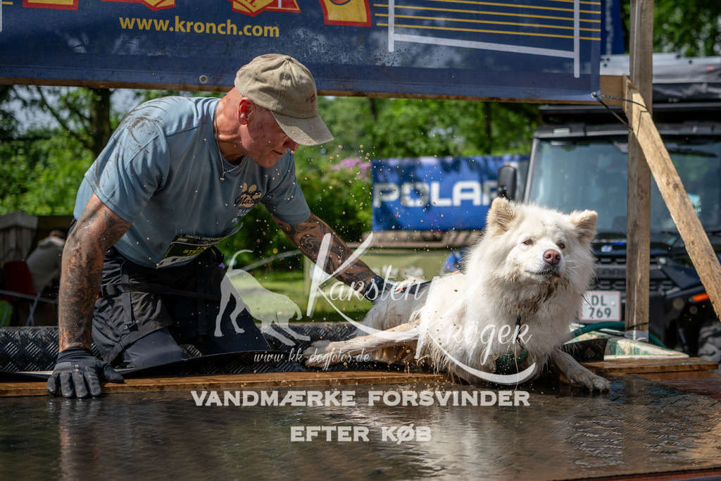 1105_ZZ92750 | kk-dogfotos