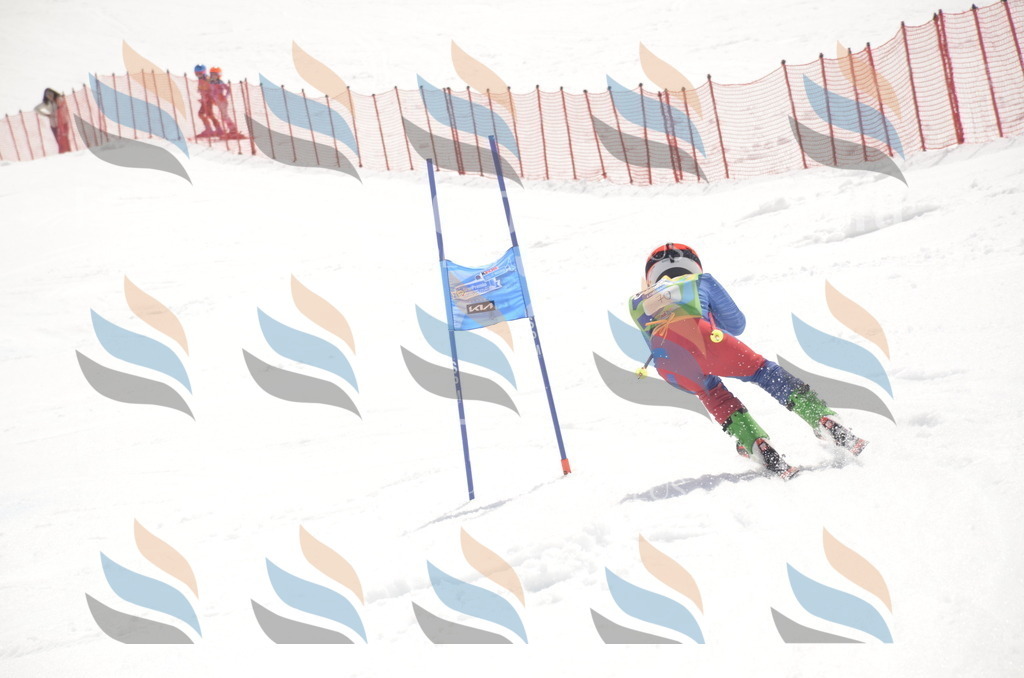 _ELE9112 | holidayphoto