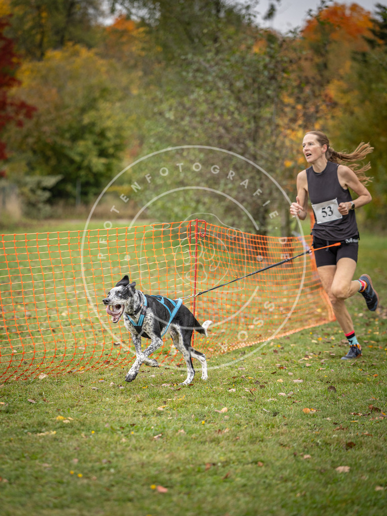 Pfotenfotografie_DV3A2535 | Hundefotografie, Tierfotograf, Pfotenfotografie, Fotoshooting Hund, Hunde Portrait, Hundesport, Hundeportraits, Heideshooting, Hunde, Sportfotograf, Hundefotograf, Turnierhundsport, THS,  - Realisiert mit Pictrs.com