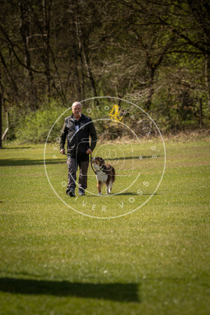 Pfotenfotografie_DV3A1354 | Hundefotografie, Tierfotograf, Pfotenfotografie, Fotoshooting Hund, Hunde Portrait, Hundesport, Hundeportraits, Heideshooting, Hunde, Sportfotograf, Hundefotograf, Turnierhundsport, THS,  - Realisiert mit Pictrs.com
