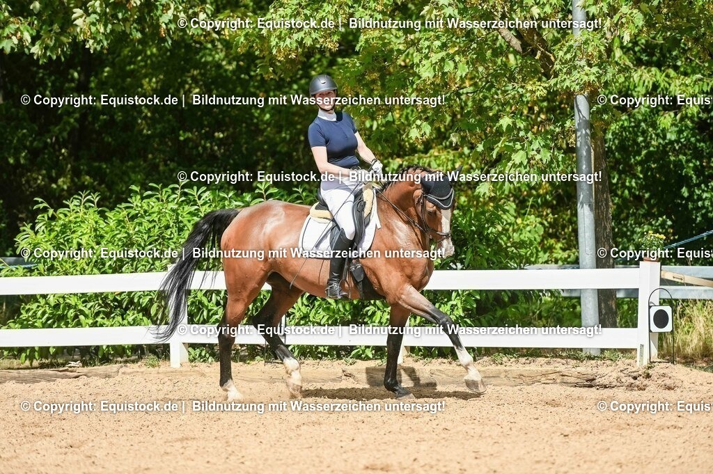 20230715_02_Dressurreiterprüfung Kl.L_0331 | equistock