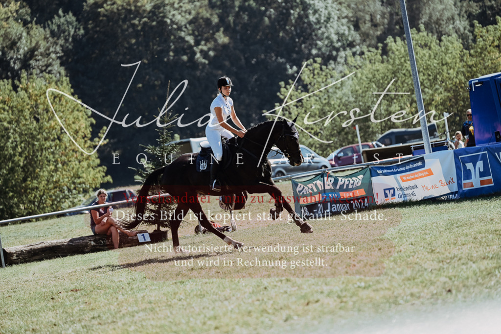 DSC_6722 | Pferde- und Turnierfotografie in Westsachsen. Pferdeportraits, Auftragszeichnungen und intuitive Kunst.