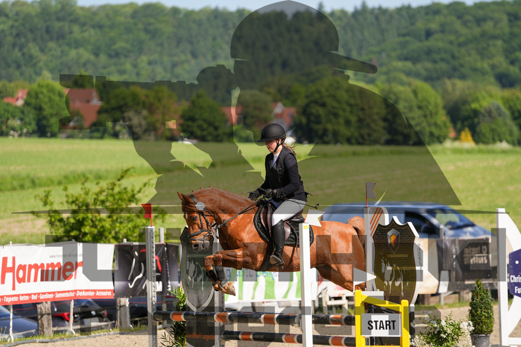 DSC02115 | Julian Held Fotografie - Realisiert mit Pictrs.com